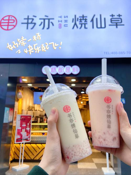 加盟书亦烧仙草奶茶店赚钱吗